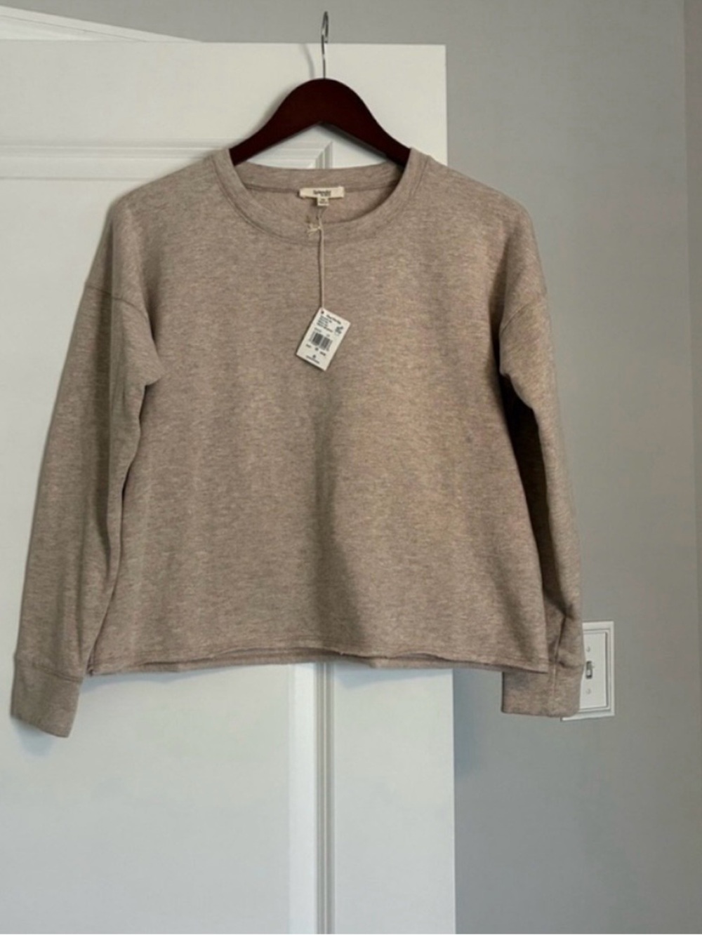 Splendid Oatmeal Eco-Friendly Sweatshirt